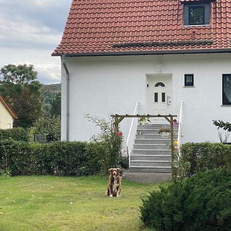 Ferienhaus Am Muehlgraben Тале Экстерьер фото